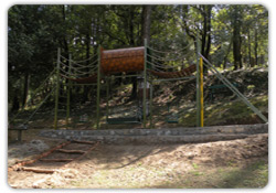 Fitness Equipment - Zigzag Bridge Tunnel - FE15